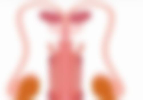 徐光医生的价格与询问