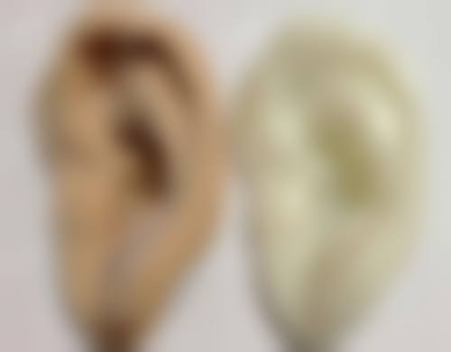 李向东服务的价格与优势