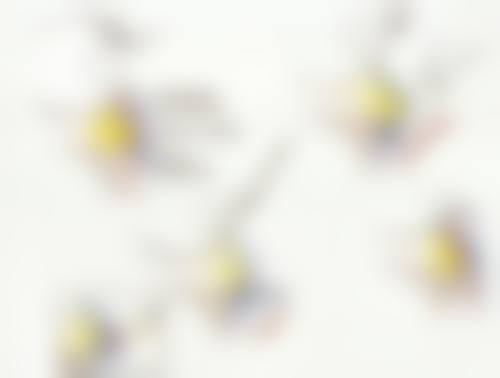 茂名市石化医院怎么样基本信息