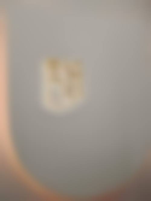 傅如鵬可能擅长的整形领域