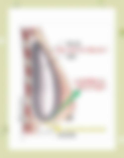 厦门思明美仑美奂医疗美容怎么样简介概述