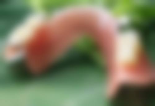 胡东浩医生的擅长领域