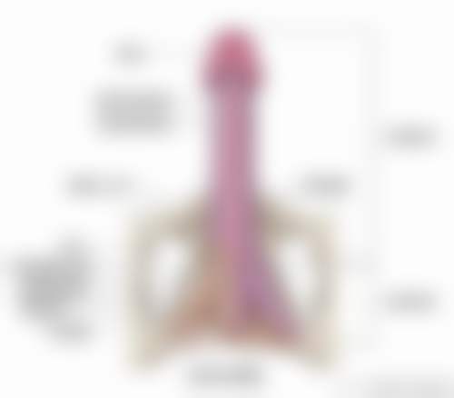 王文卫医生的成功实例