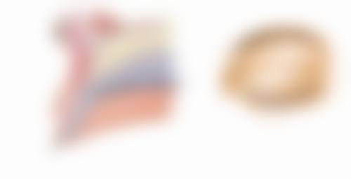 广州增城德玛肤秘龄整形医院来院路线