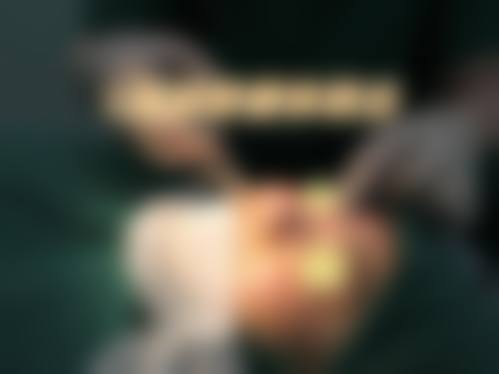 李在承院长擅长领域