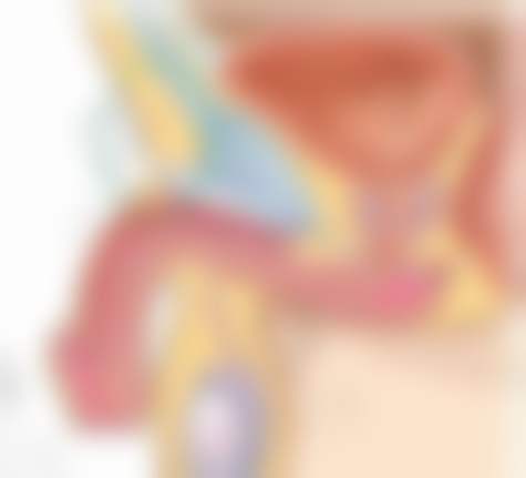 赵新娥医生:价格合理透明