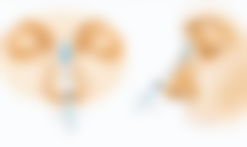 特色项目及技术优势