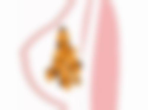 特色项目及技术优势