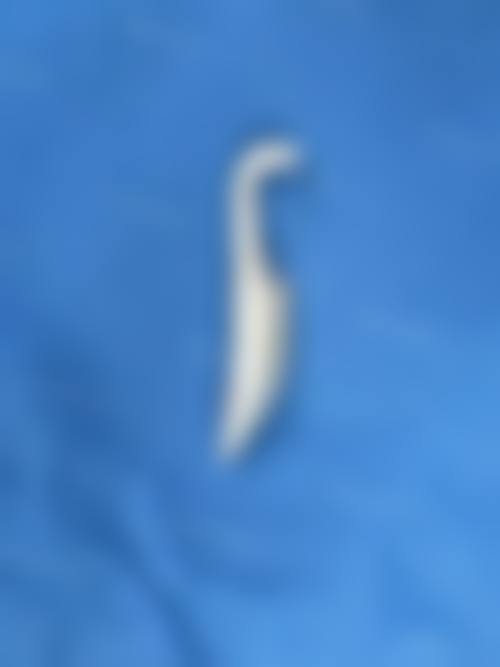 山东丽港美容整形医院基本信息