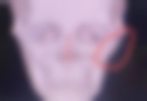 高网勤医师可开展的多类口腔诊疗服务