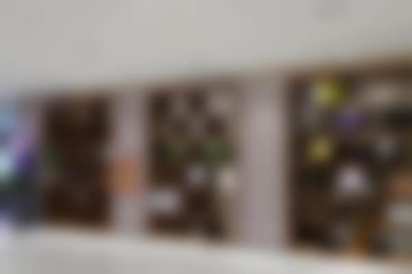 刘小侠医生所在医院的正规资质保护