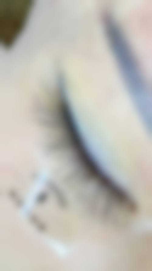 预约孙豪成主治医师的便捷方式