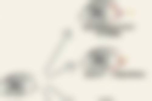 特色项目与技术优势