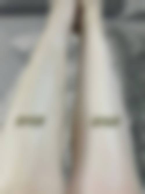 特色项目及技术优势