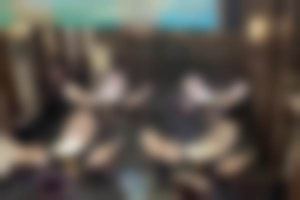 热门项目价格与就诊指引