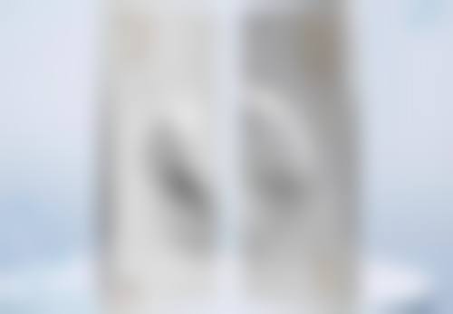 机构简介与服务特色