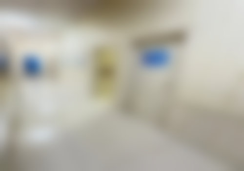 特色项目及技术优势