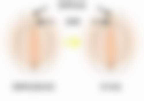 郭新雯医生团队坚持东方审美与前列技术结合