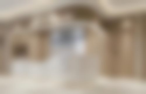 特色项目及技术优势