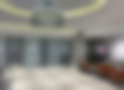 特色项目及技术优势