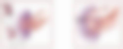 东莞市艾莱美医疗美容简介概述