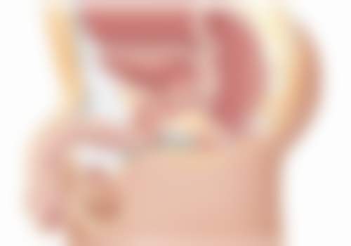 黄艺贤医生：便捷可及的就诊预约渠道