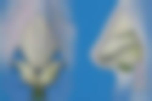 珠海陆达美容医院牙科医院特色项目及技术优势