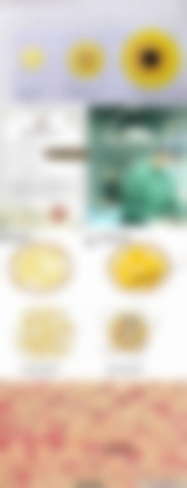 上海翔茂整形医院来院路线