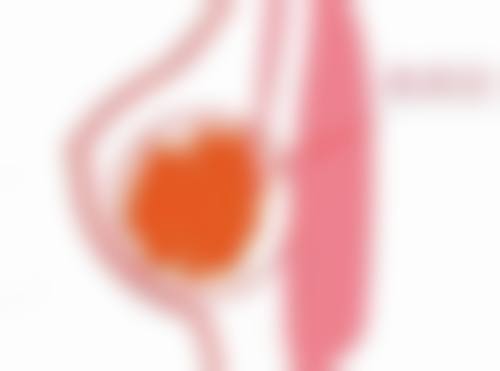 北京艾玛整形医疗美容诊所基本信息