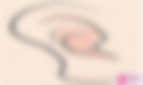 汪锋的团队协作与学术追求