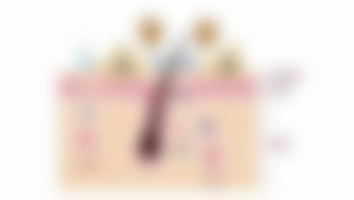 东莞莉晨医疗美容诊所价格收费