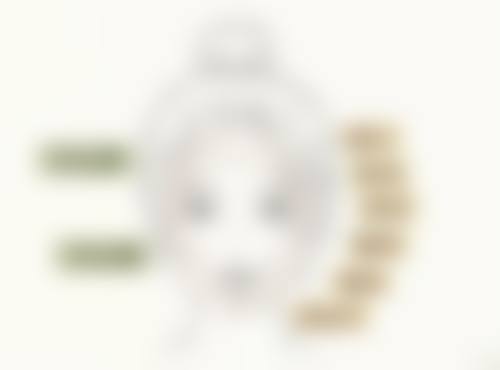 韩国Louvre整形外科医院医生团队实力