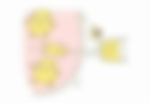 武汉领秀植发医院来院路线