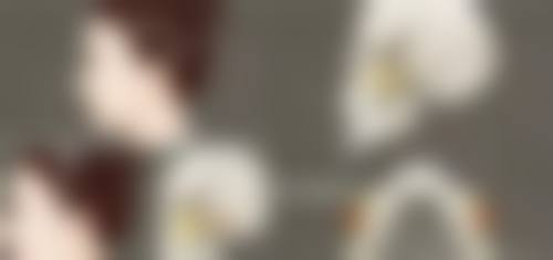 日本直江美丽私密整形医院价格收费