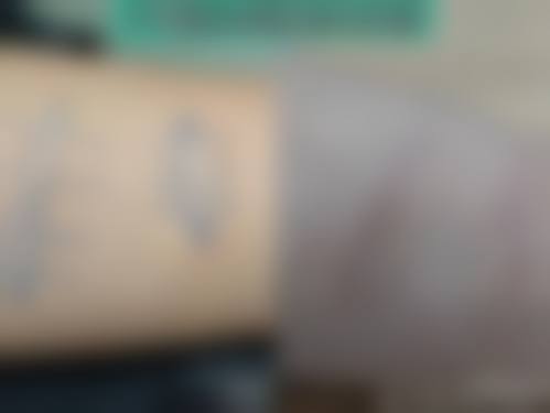 林伟文覆盖全方面的医美诊疗专长