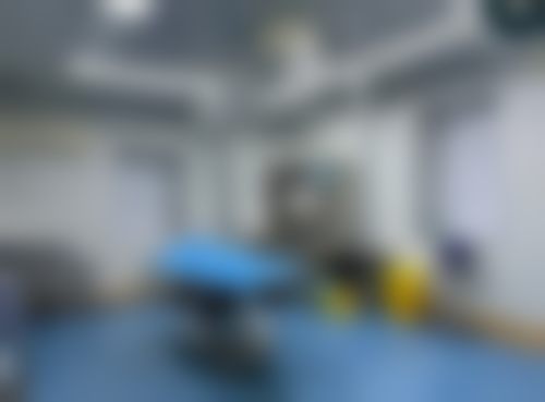王俊民亲推的艺速明星眼鼻特色项目