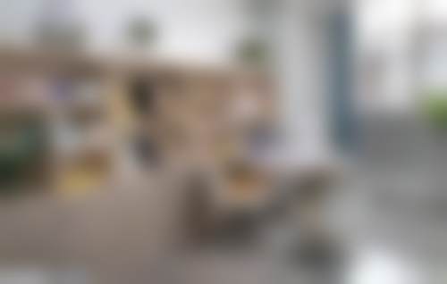 学术积累与从业资历