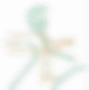 学术积累与从业资历