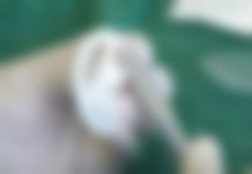 上海百汇医院整形外科上海百汇医疗美容医院
